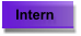 Intern